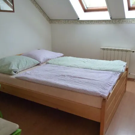 Habitación en casa particular Family House žízníkov *